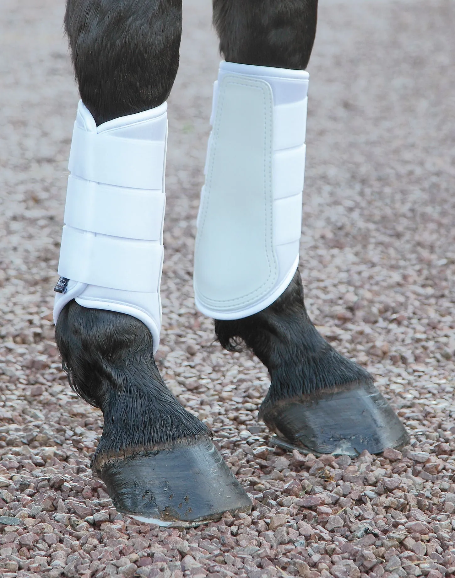 Shires Neoprene Brushing Boots